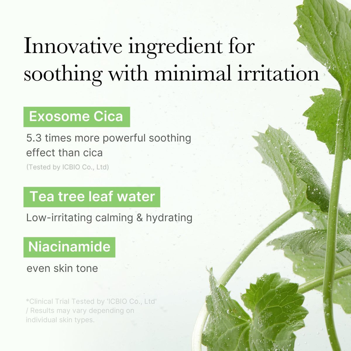 Exosome Cica Calming Toner Pads N1